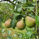 Gartenhaus Schlanstedt Casa de Férias