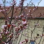 Ferienhaus Gartenhaus Schlanstedt Huy