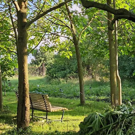 Gartenhaus Schlanstedt Hébergement de vacances *