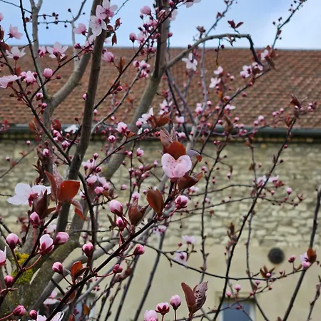 度假居 Gartenhaus Schlanstedt Huy