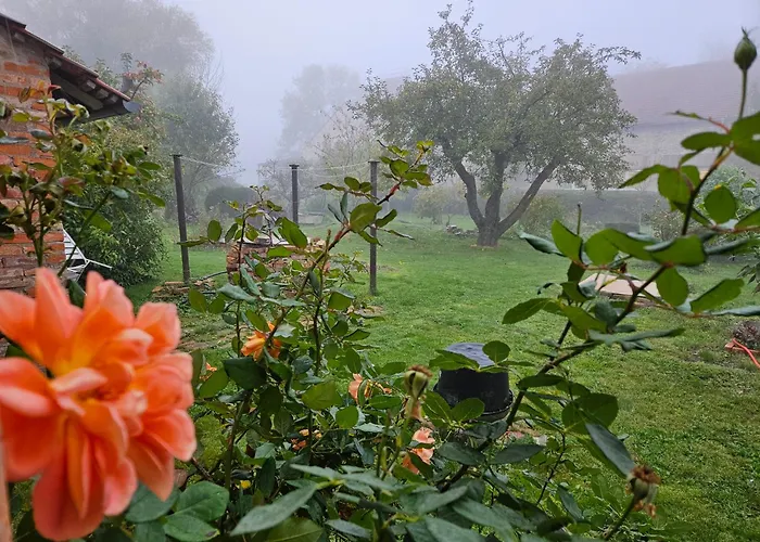 Gartenhaus Schlanstedt 度假居