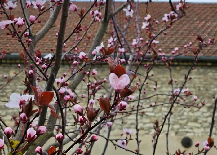 度假居 Gartenhaus Schlanstedt Huy